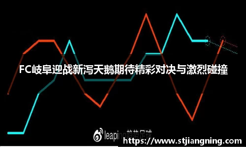 FC岐阜迎战新泻天鹅期待精彩对决与激烈碰撞